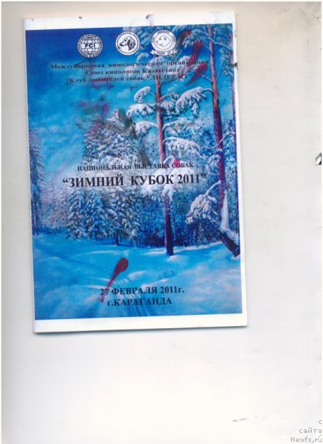 Фотография № 80858