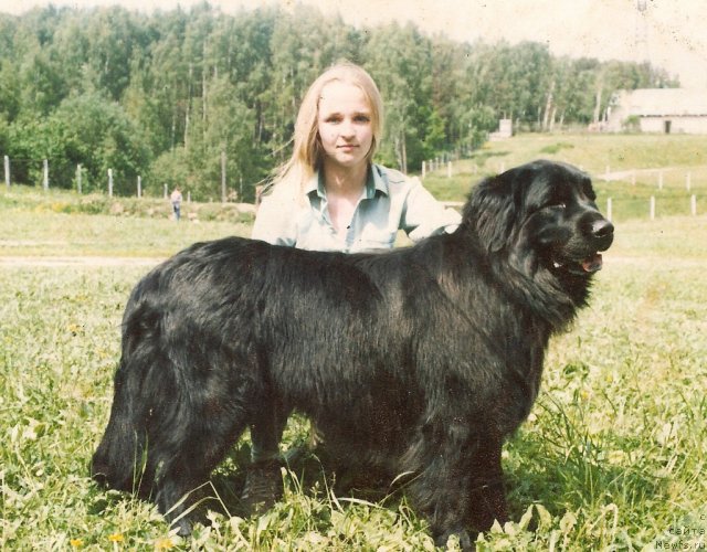 Фотография № 80860