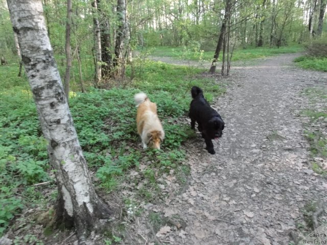 Фото: Ирина Складнова