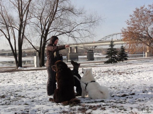 Фото: [d8814]Киви, Ляля, Элина Юнусова