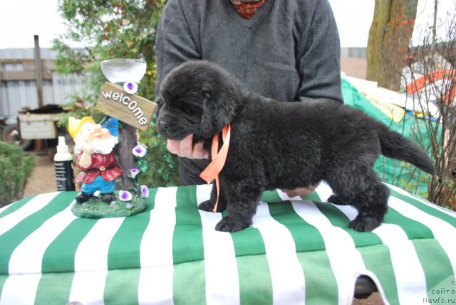 Фото: Наталья Смирнова