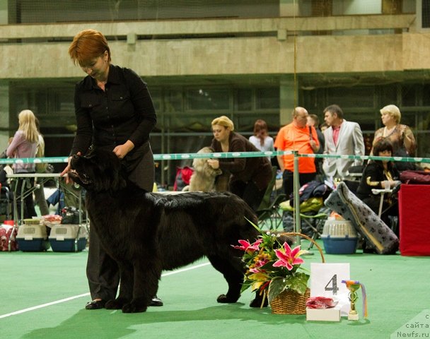 Фотография № 80925