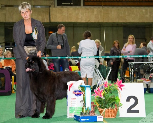 Фотография № 80927