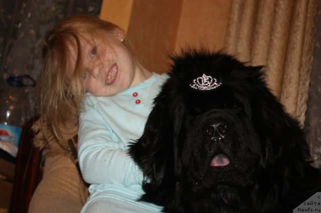 Фотография № 80928