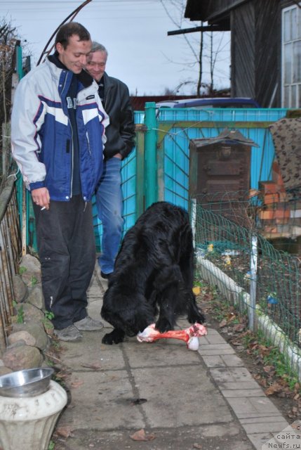 Фото: Наталья Смирнова