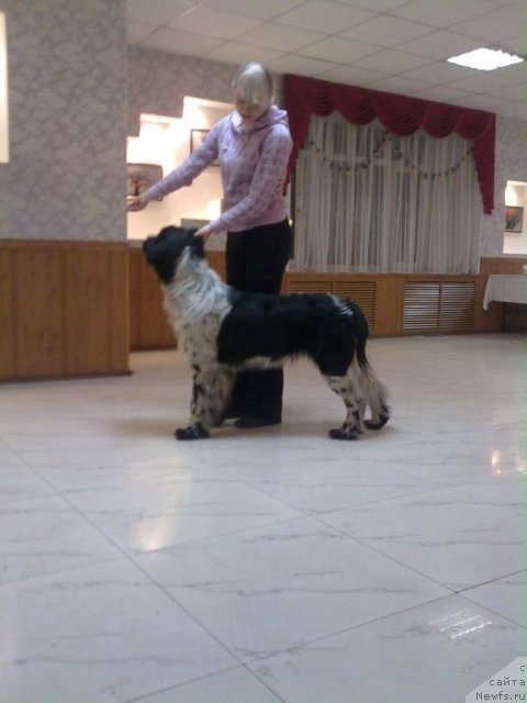 Фотография № 81004