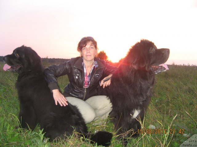 Фото: ньюфаундленд Барбара Черный Брильянт, [p630:я, неприкаянная], ньюфаундленд Балустар де Мантальчино