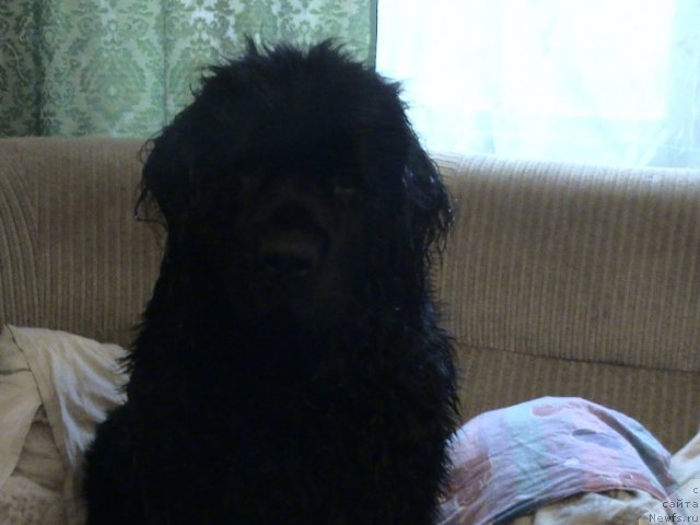 Фотография № 81015