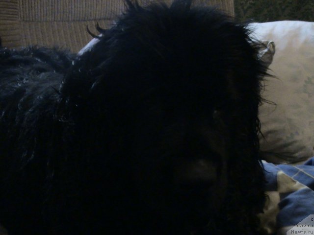 Фотография № 81017