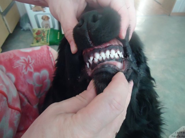 Фотография № 81070