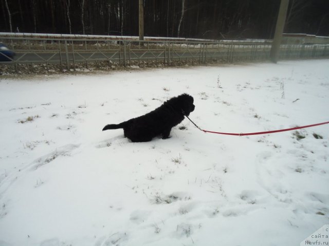 Фотография № 81083