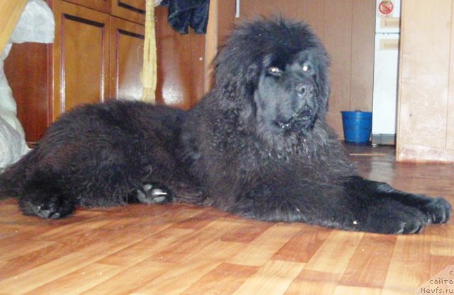 Фотография № 81096