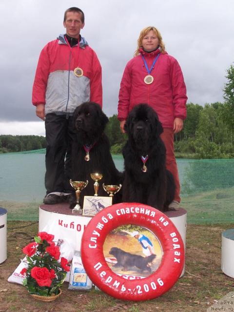 Фото: ньюфаундленд Акванавт из Тихого Омута (Akvanavt iz Tihogo Omuta), ньюфаундленд Велл Спирит Лилит (Vell Spirit Lillit), Татьяна Абутова, Карпов Владимир