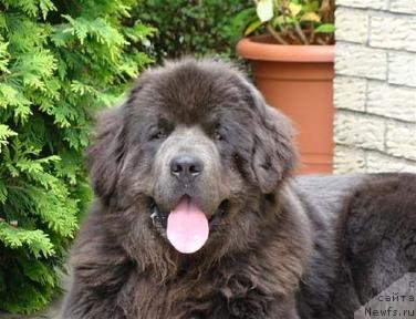 Фото: Bear's Cove into the Blue