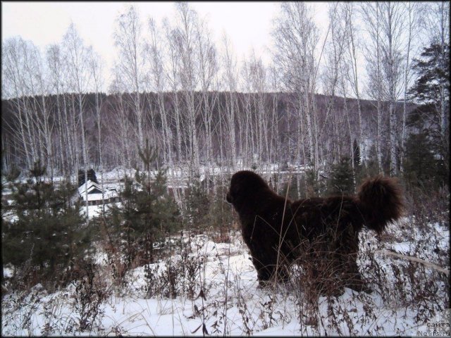 Фотография № 81151