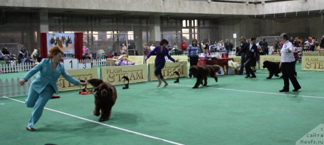 Фотография № 81158