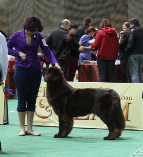 Фотография № 81159