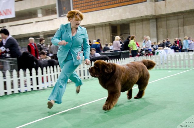 Фотография № 81160