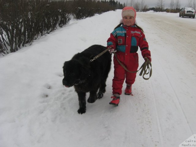 Фотография № 81176