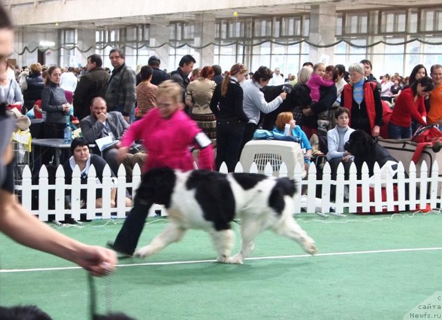 Фотография № 81193