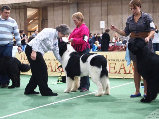 Фотография № 81196