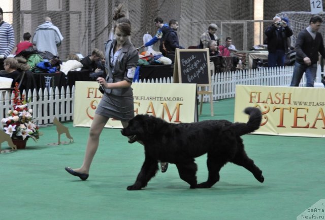 Фотография № 81224