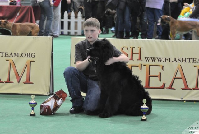 Фотография № 81226