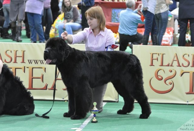 Фотография № 81227