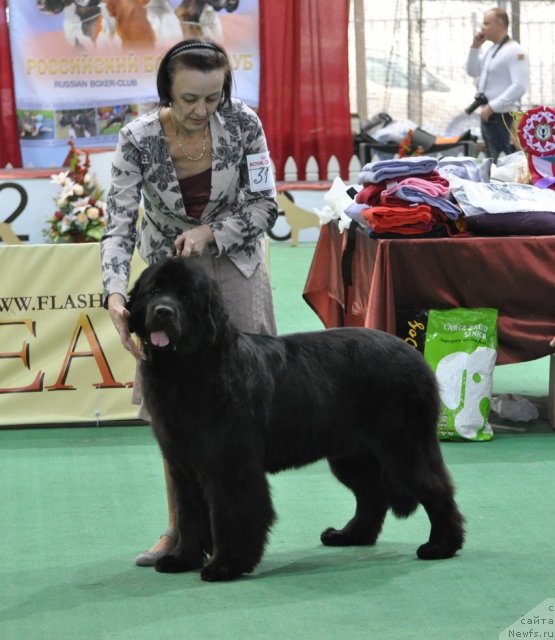 Фотография № 81230