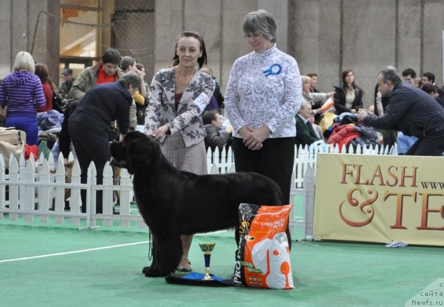 Фотография № 81231