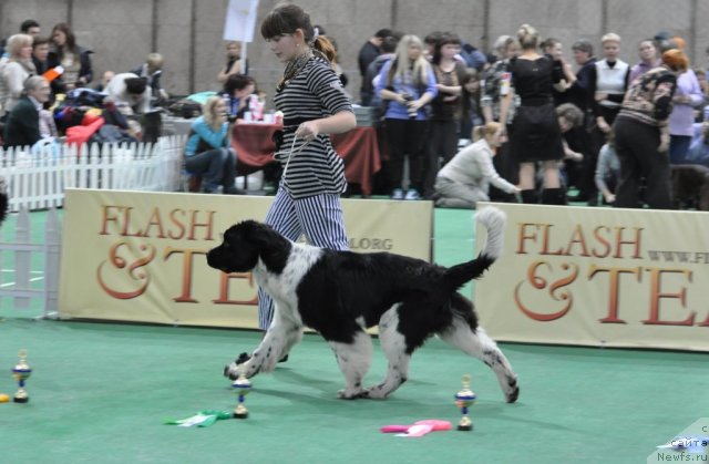 Фотография № 81233