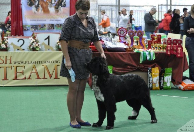 Фотография № 81234