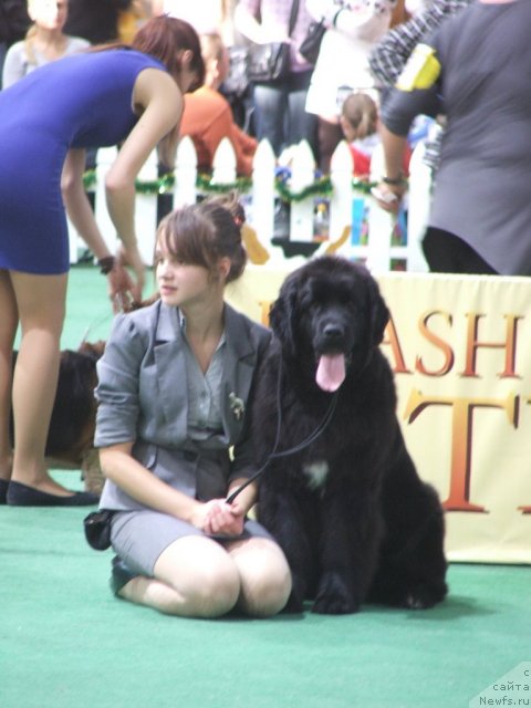 Фотография № 81242