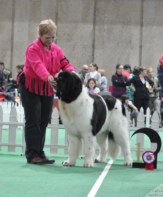 Фотография № 81245