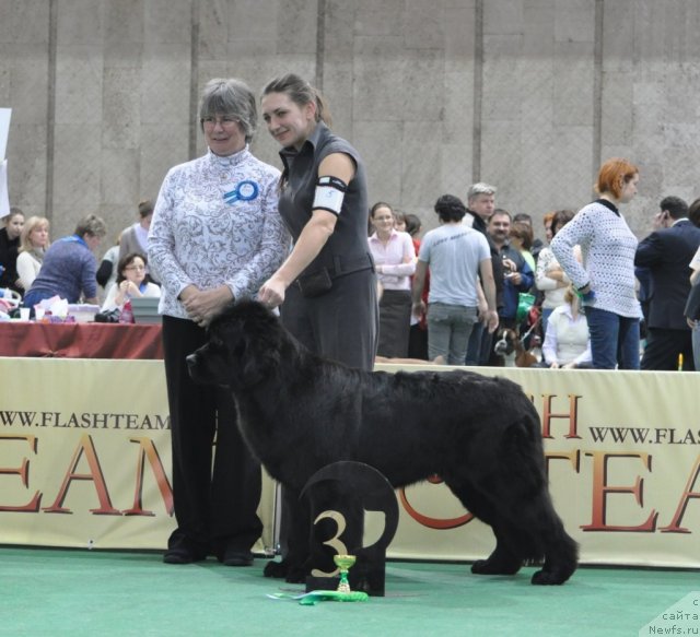 Фотография № 81249