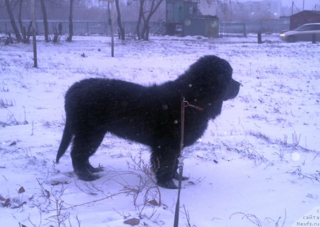 Фотография № 81269