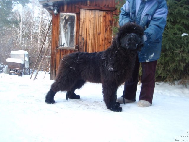 Фотография № 81337