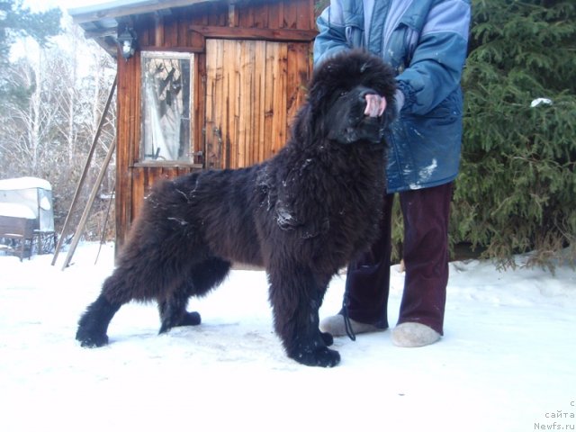 Фотография № 81338