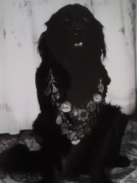 Фотография № 81344