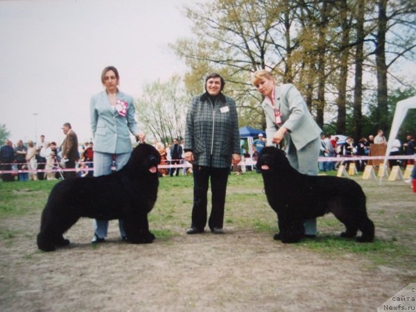 Фотография № 81345