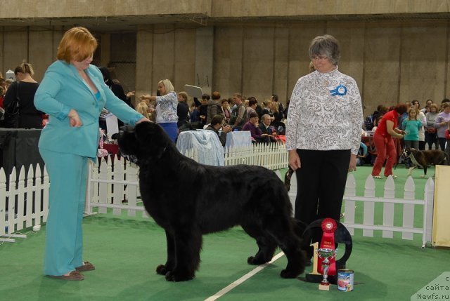 Фотография № 81374