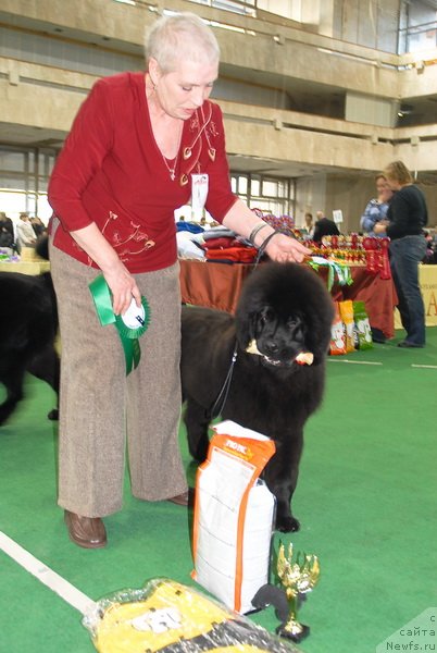 Фотография № 81393