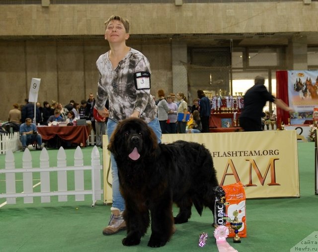 Фотография № 81398