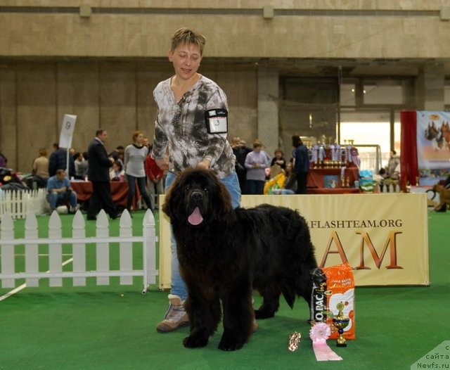 Фотография № 81399