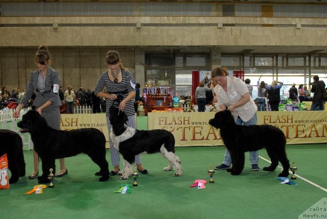 Фотография № 81402