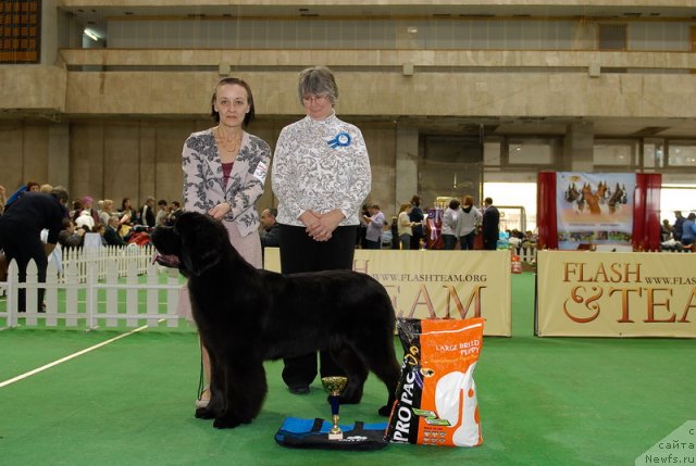 Фотография № 81409