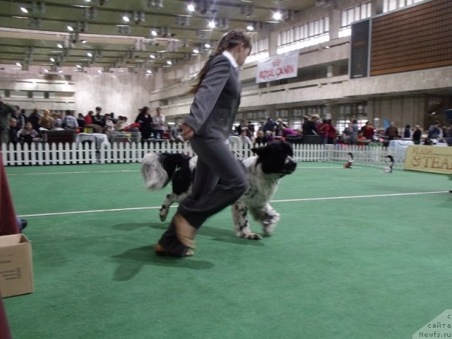 Фотография № 81426