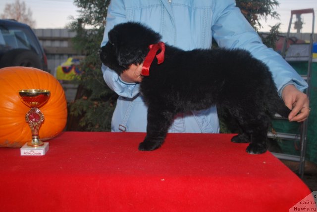 Фото: Наталья Смирнова