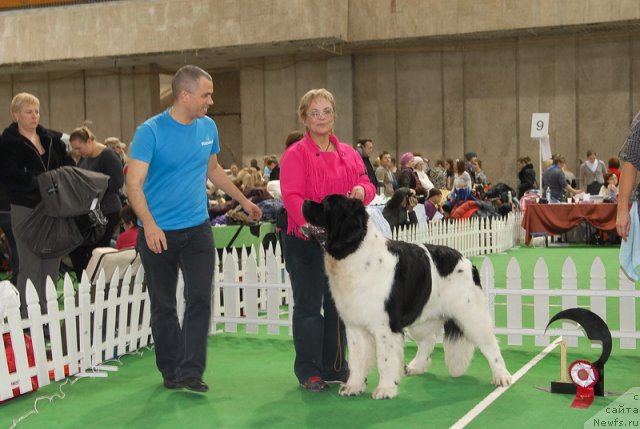 Фотография № 81442