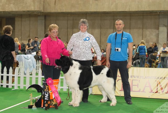 Фотография № 81443